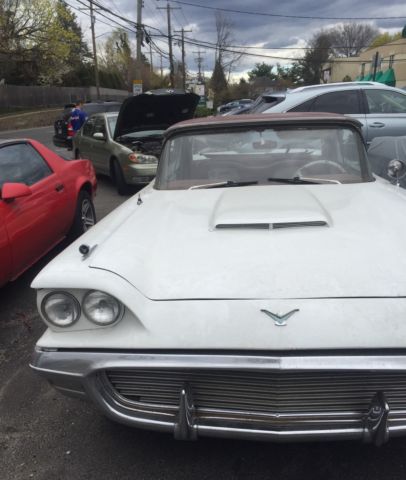 1959 Ford Thunderbird (Blue/Tan)