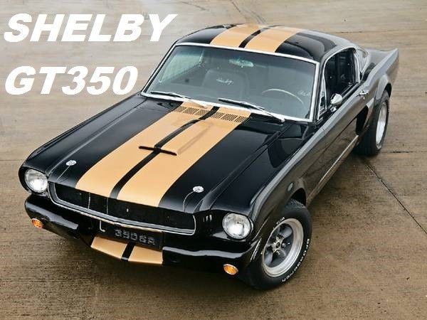 1965 Ford Mustang (Hertz Black/Gold painted stripes/Black)