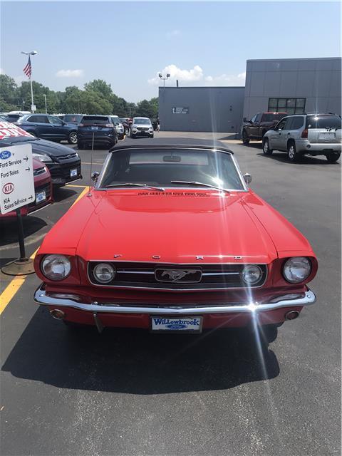 1966 Ford Mustang (Red/--)