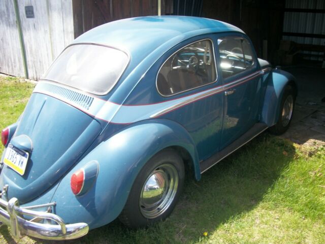 1965 Volkswagen Beetle - Classic (Blue/Blue)